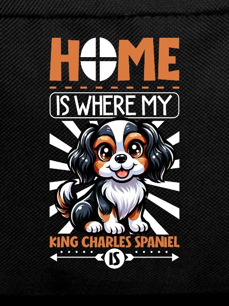 Zuhause - King Charles Spaniel