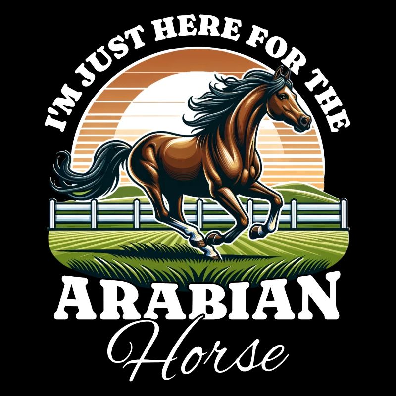 Arabian Pferd Reiter