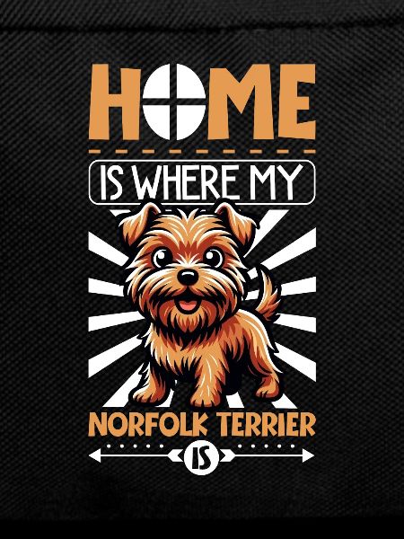 Home - Norfolk Terrier