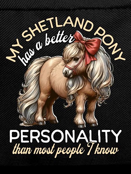 Shetland Pony Rider