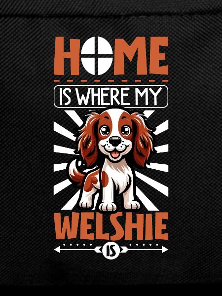 Home - Welsh Springer Spaniel