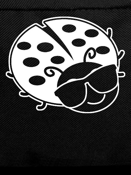 Ladybug Sunglasses Ladybugs