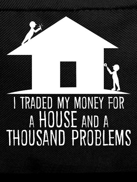 Homeowner Renovating House Building