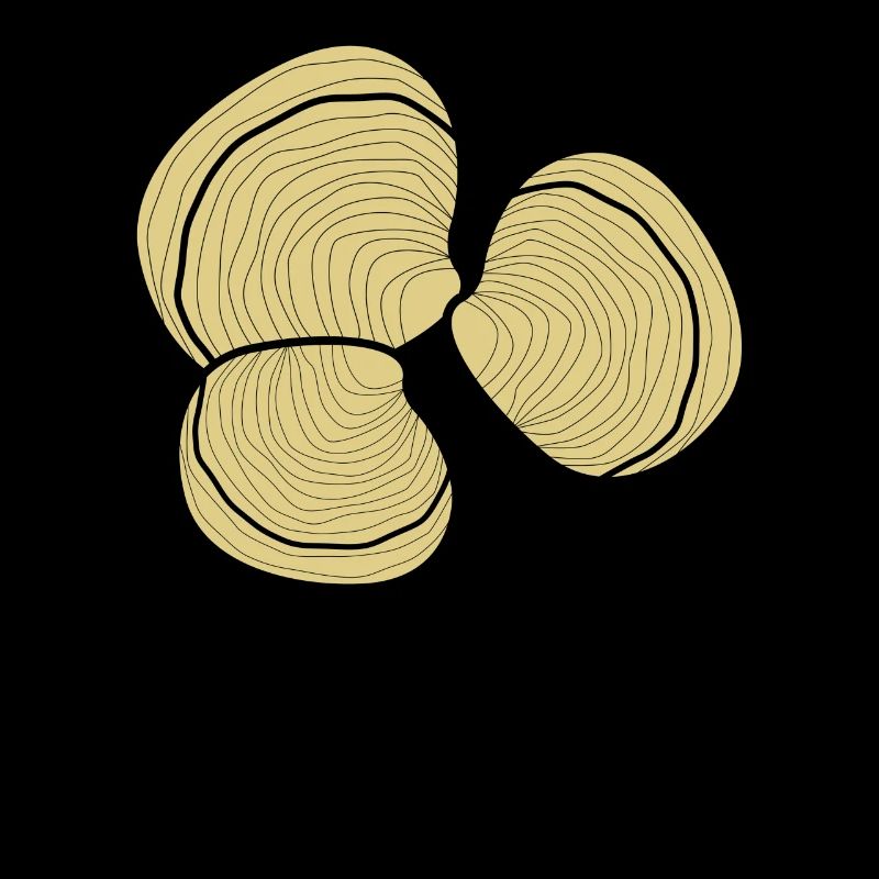 Seashells Sea Shell Clams Clam Clumsy