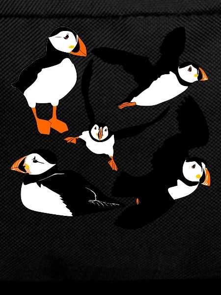 Puffin Flying Puffins