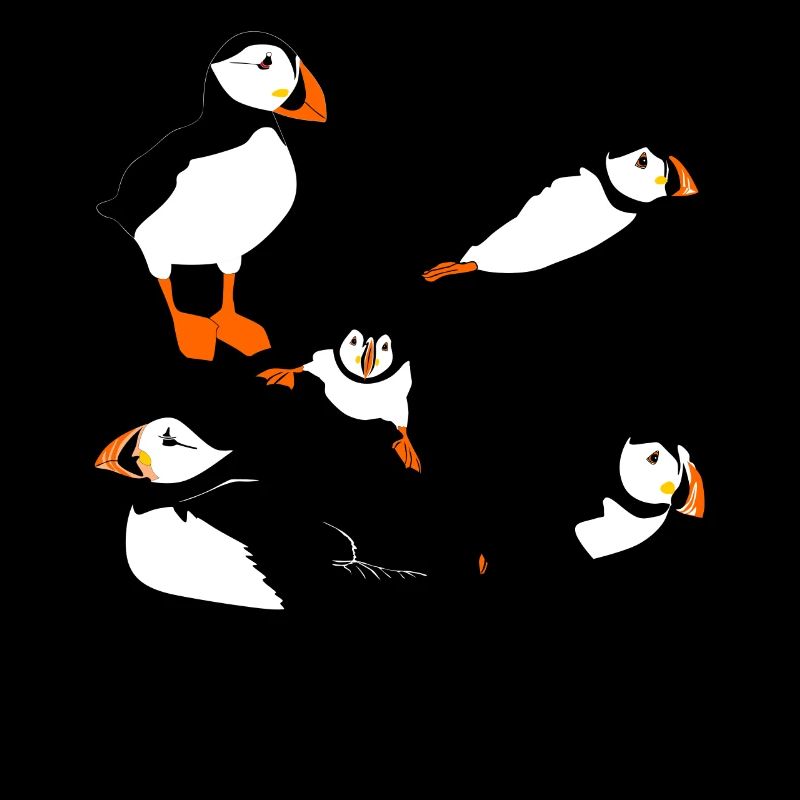 Puffin Flying Puffins