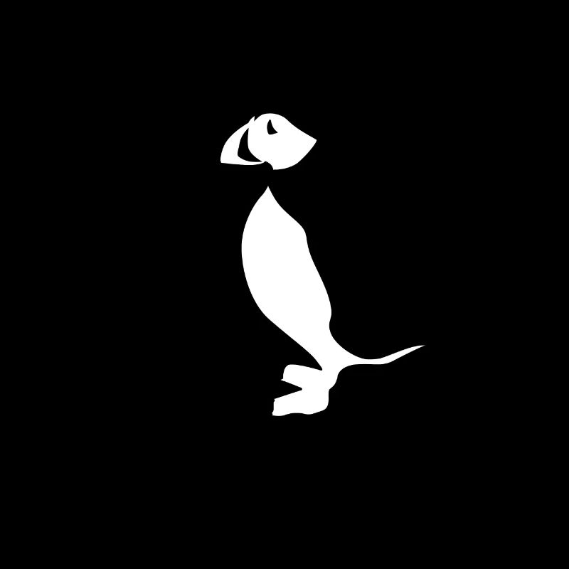 Puffins Puffin