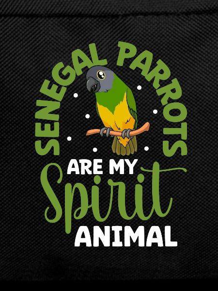 Favourite animal - Senegal parrot