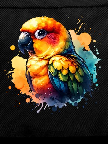 Sun parakeet