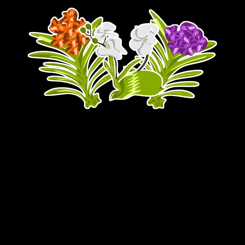 Orchid Orchids Flowers