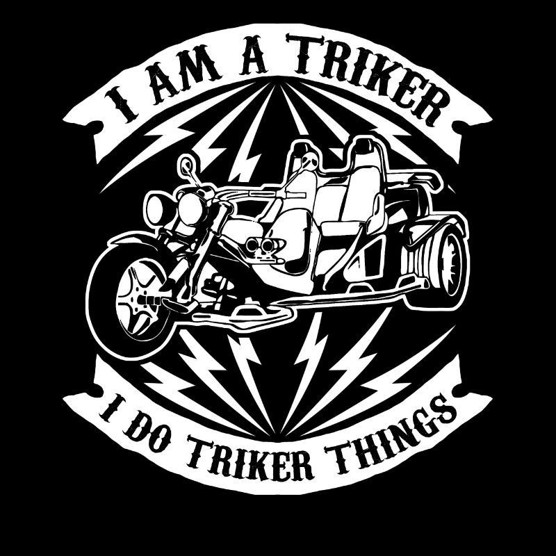 Trikes Motor Trike Triker Trike Driver