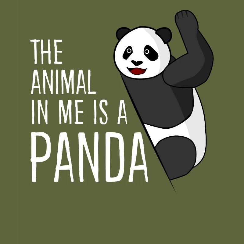 Panda Ours Pandas Panda Géant