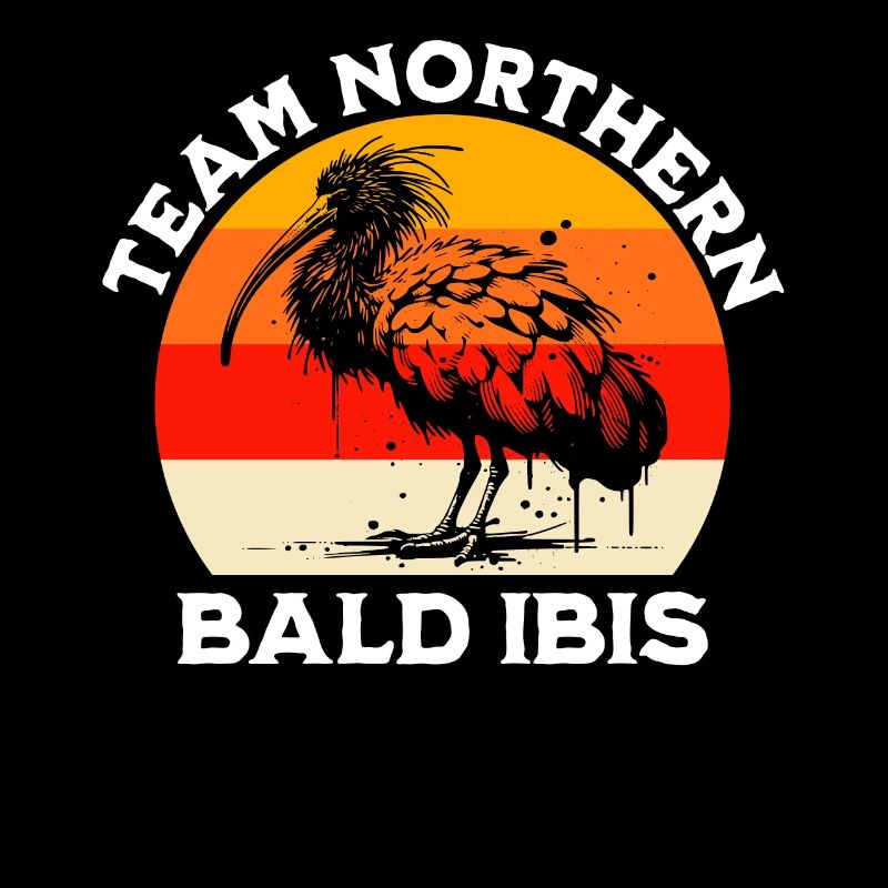 Dicton de l’ibis chauve du Nord