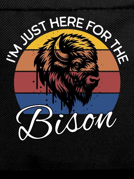 Bison Buffalo