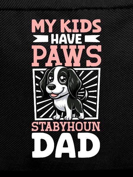 Stabyhoun Papa