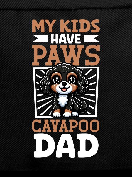 Cavapoo Papa