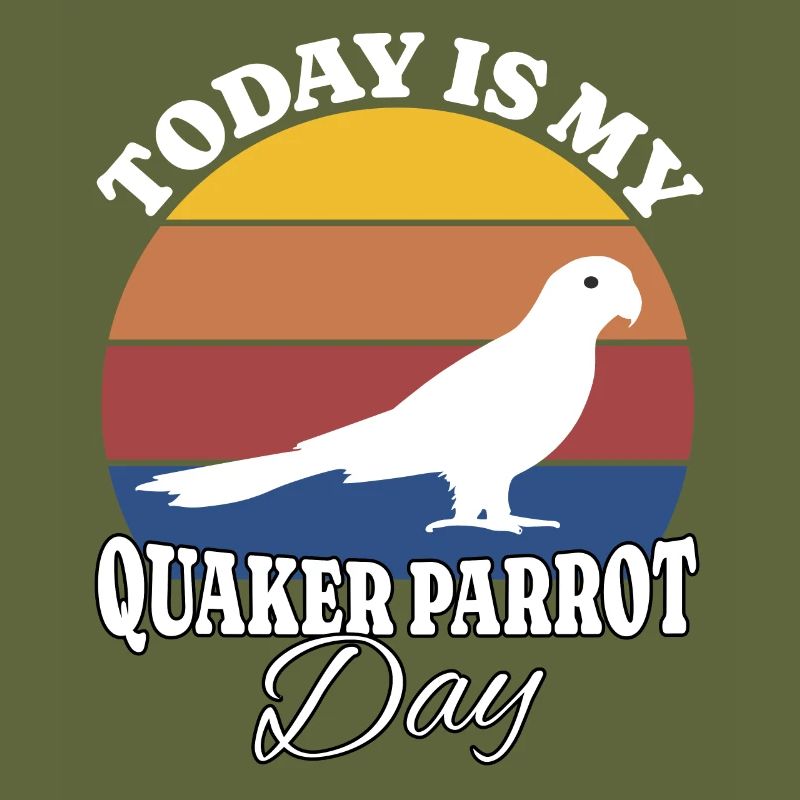 Monk parakeet Quaker Parrot