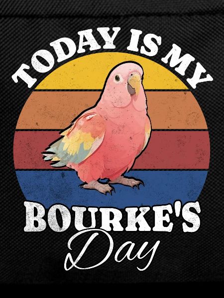 Bourkesittich Bourke's Parakeet
