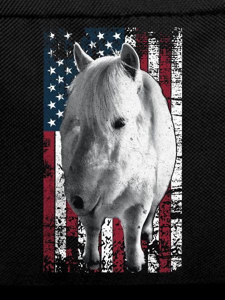 Icelandic Horse US Icelander