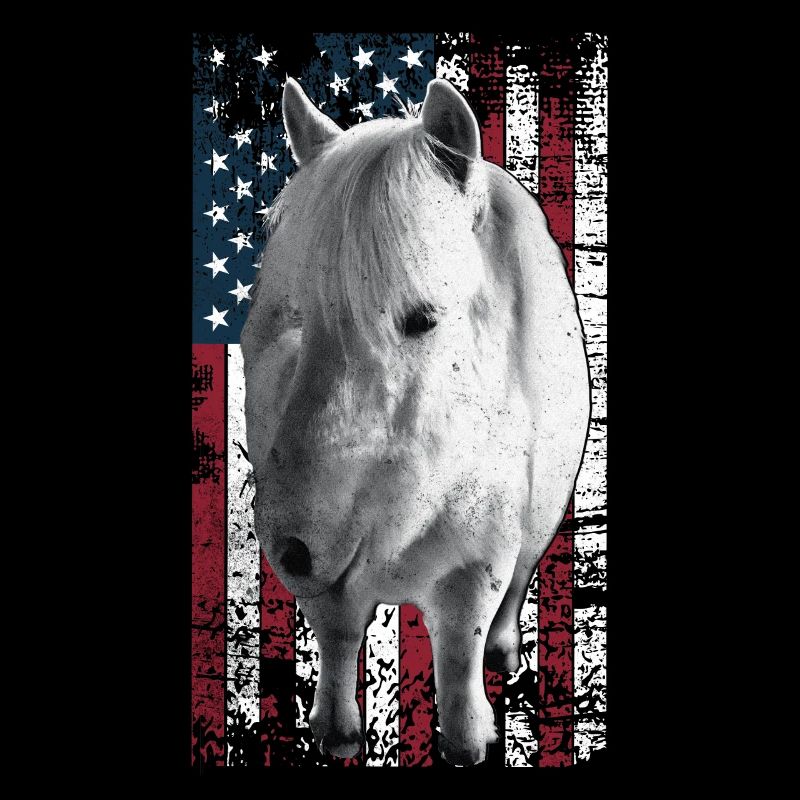Cheval Islandais US Islander
