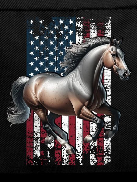 Paso Fino US Paso Fino
