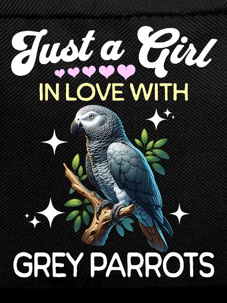 Graupapagei Mädchen Grey Parrot