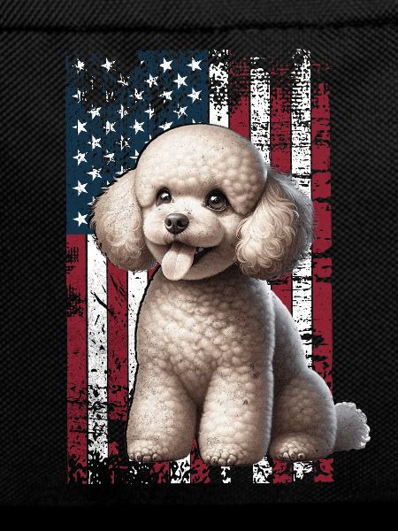 Caniche US Pudel