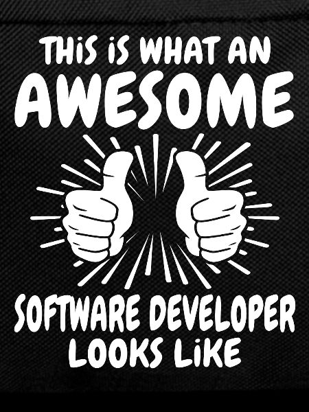 Software Developer