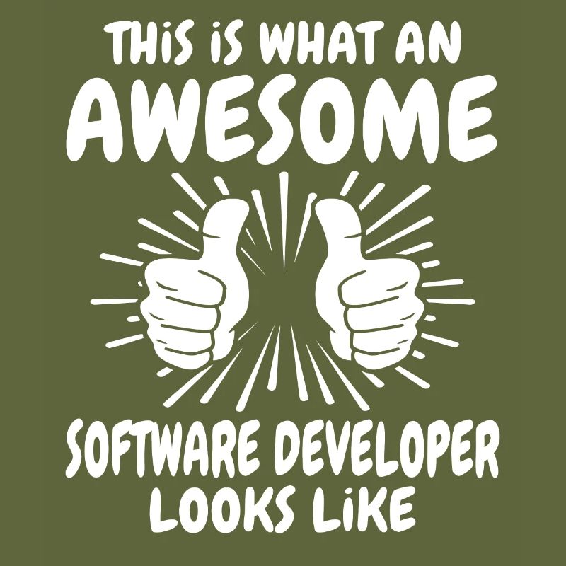 Software Developer
