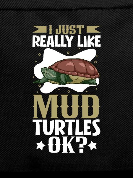 I love my turtle