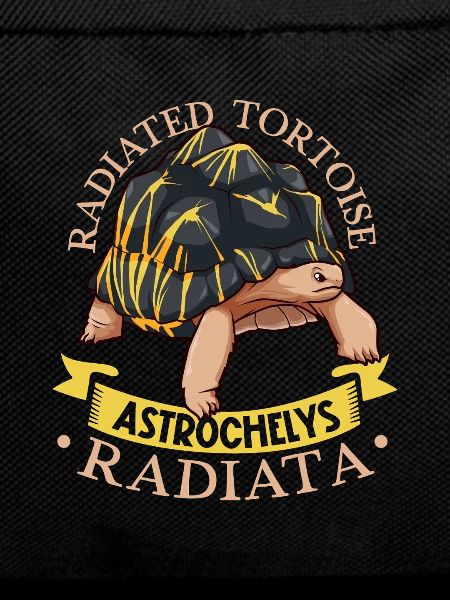 Radiated tortoise