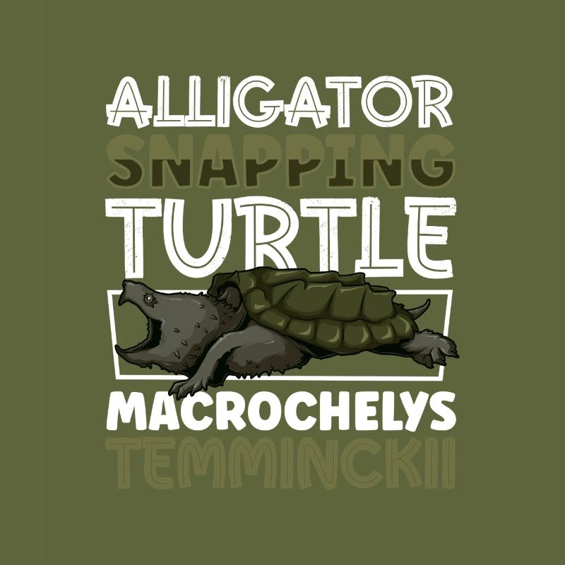 Alligator turtle