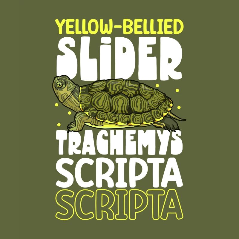 Yellow-cheeked Turtle