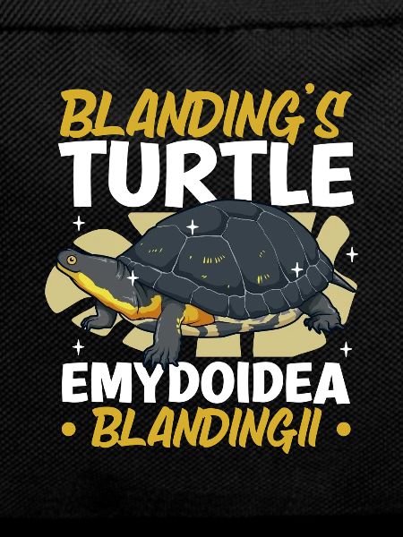 Terrapin