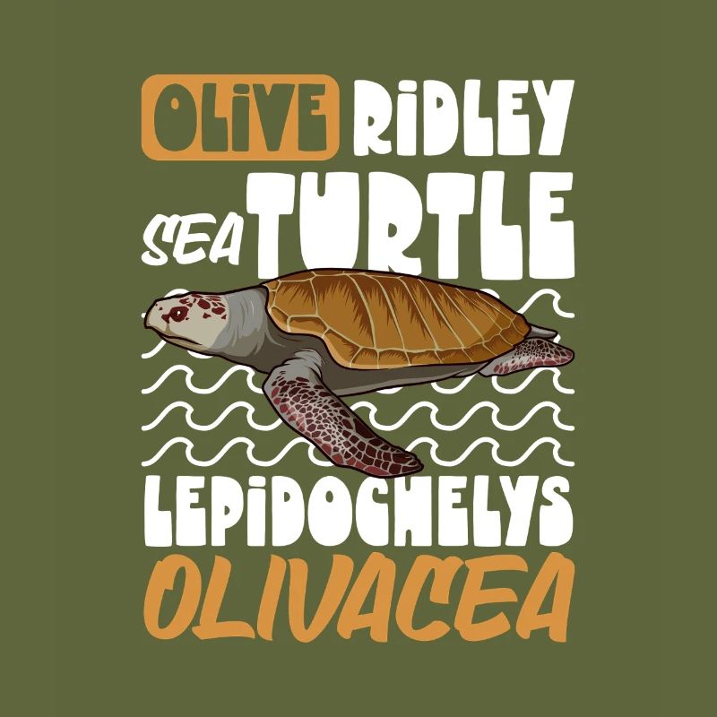 Pacific Ridley Turtle