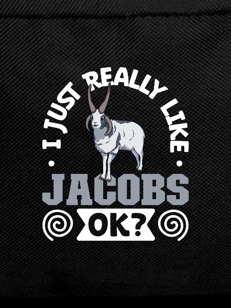 I love my Jacob sheep
