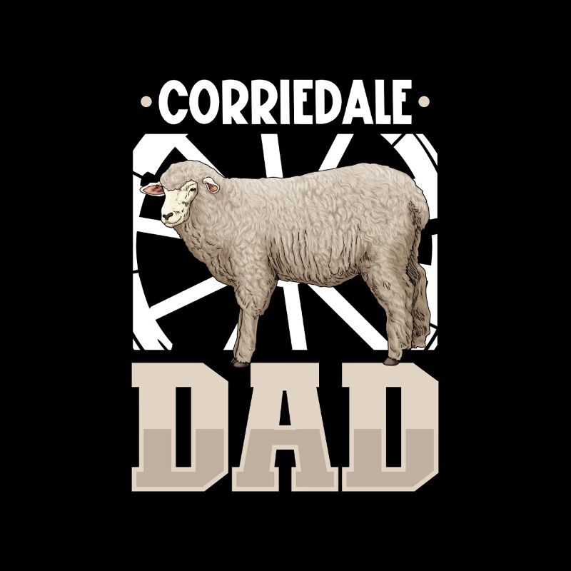 Corriedale Hausschaf Papa