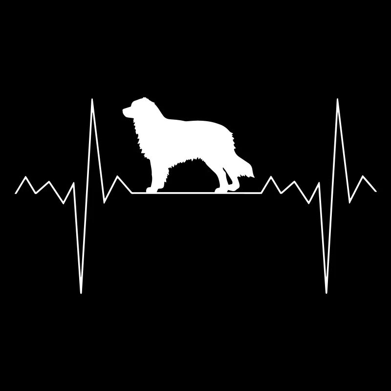 Rythme cardiaque Australian Shepherd