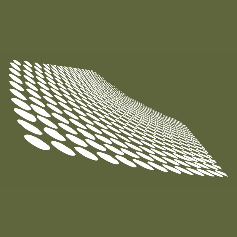 Geometric points on curved horizon surface