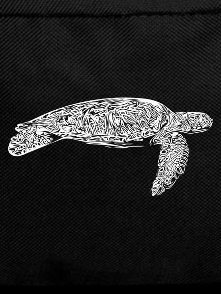 Elegant old water turtle