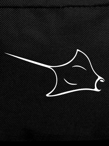 Manta rays in elegant flight