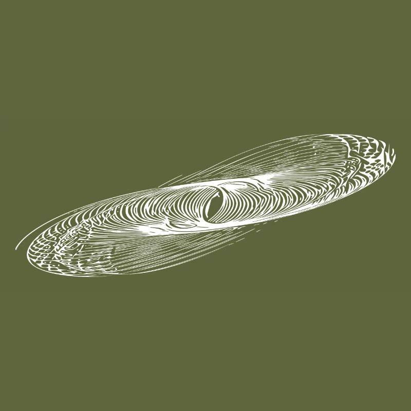 Geometric Circle Ellipses Lines