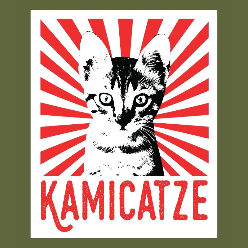 Kamicatze chat mignon chat chat grincheux chats chats