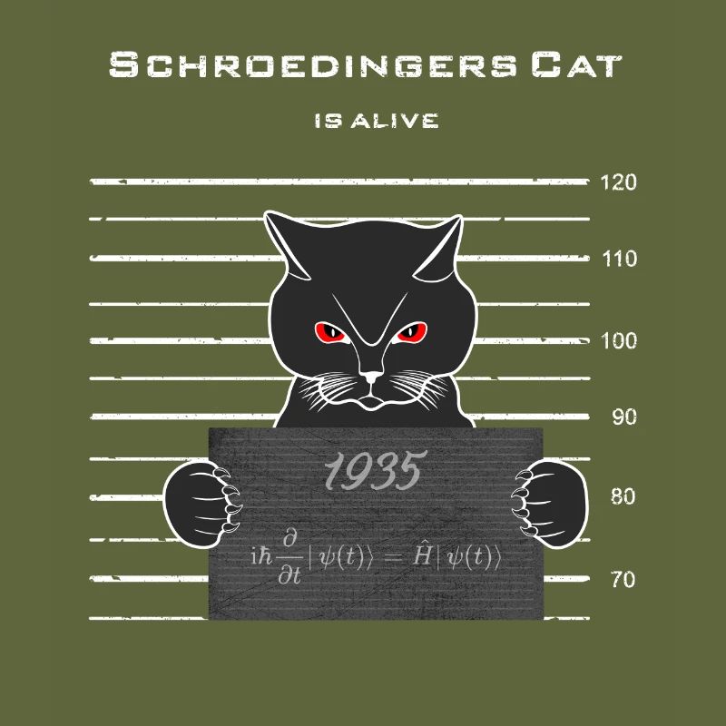 Le chat de Schrödinger vit/ Schrödinger Formule