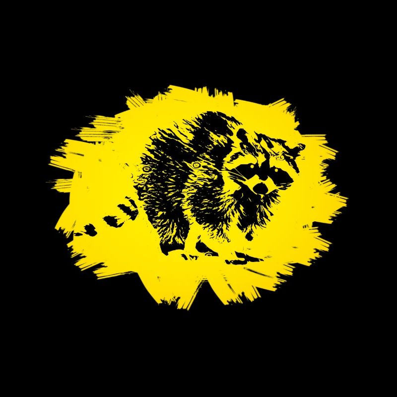 raccoon