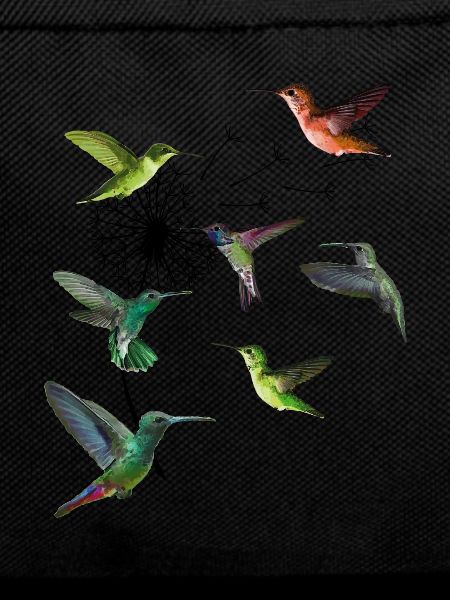 Hummbingbird Dandelion Humminbird Hummingbird