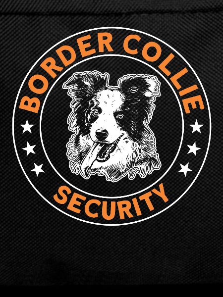 Border Collie Security