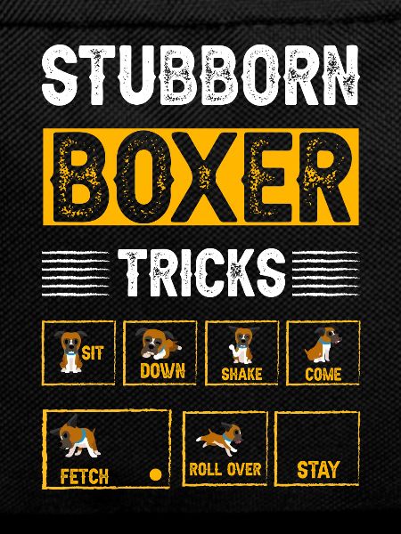 Stubborn Boxer Tricks