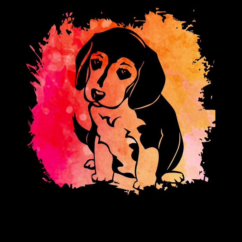 Beagle Hund