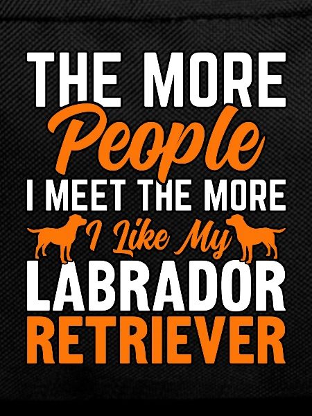 LABRADOR RETRIEVER